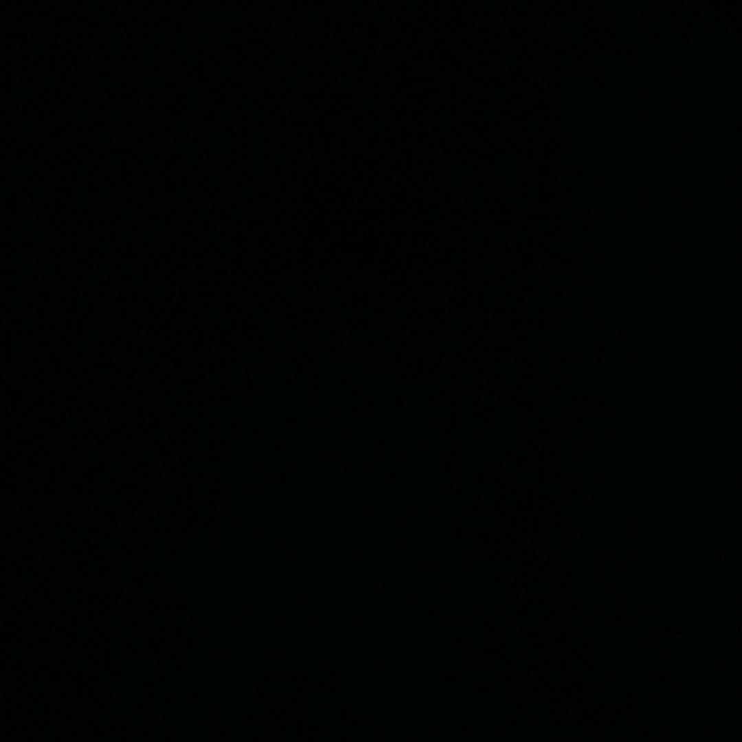 没名字
