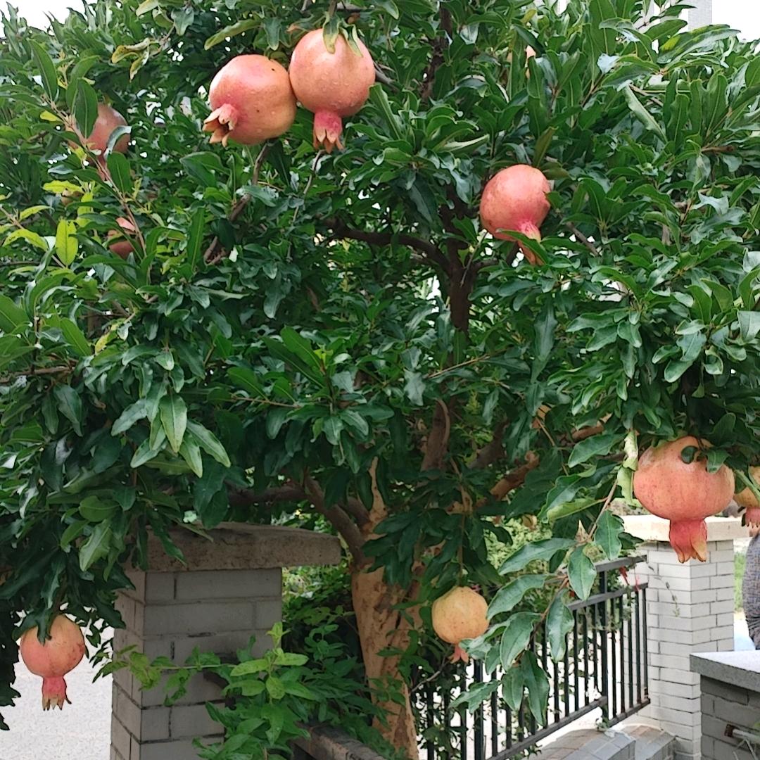 偷得浮生半日闲，