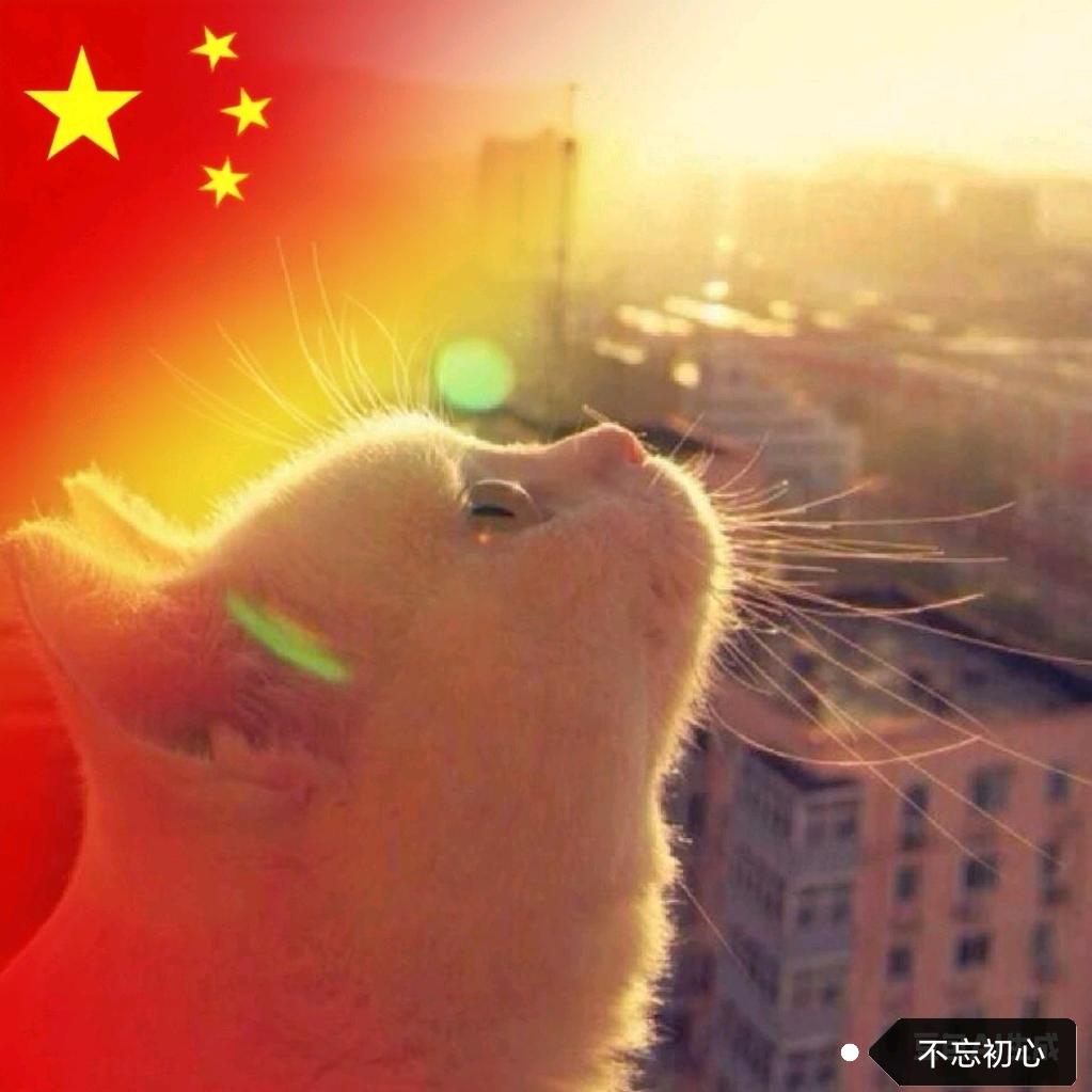 这就是生活吖