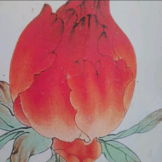 ‘财富哥