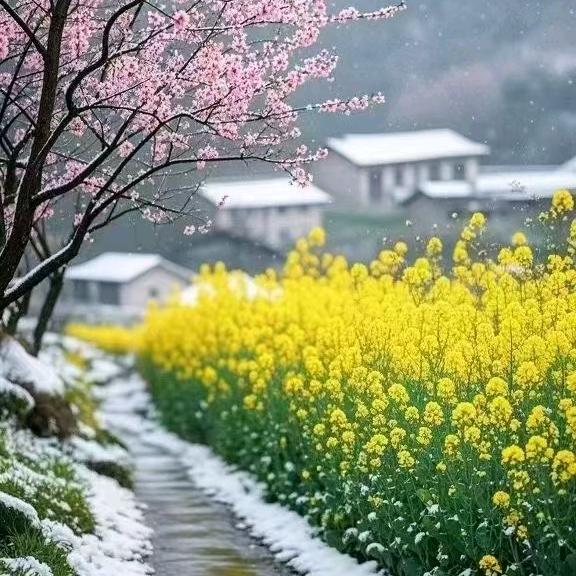 我想静静