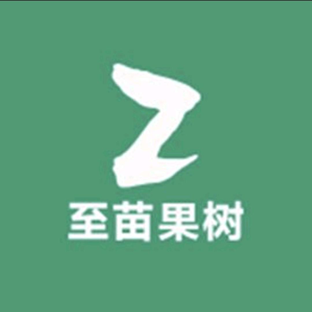 至美果树苗木