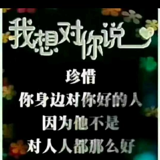 云南茶花