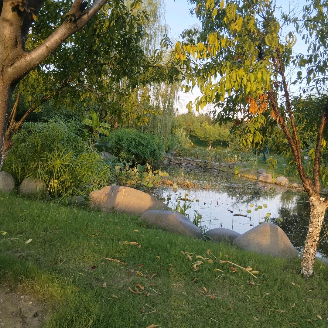 〖🍓٩(๑•ㅂ•)۶〗