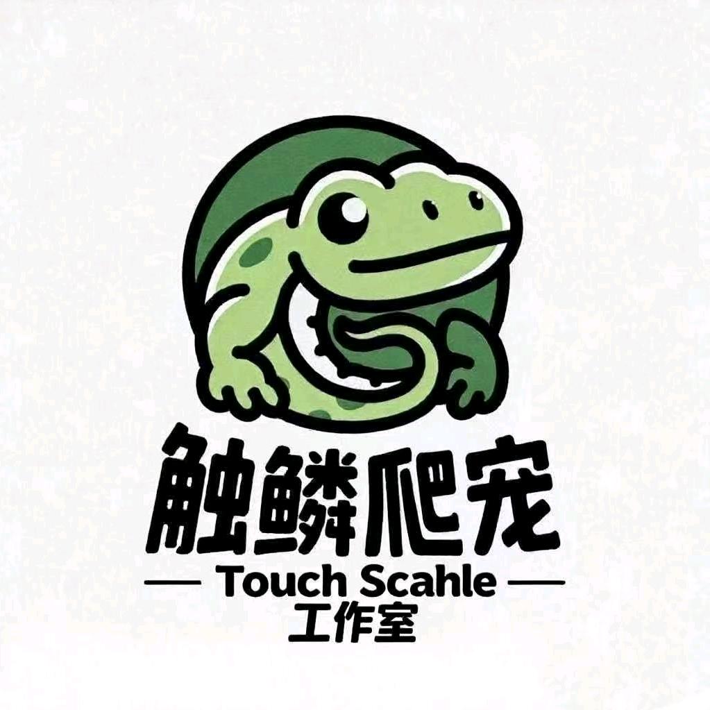 触麟爬宠工作室