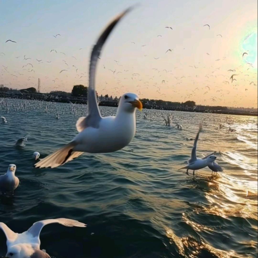 Encounter once, reme