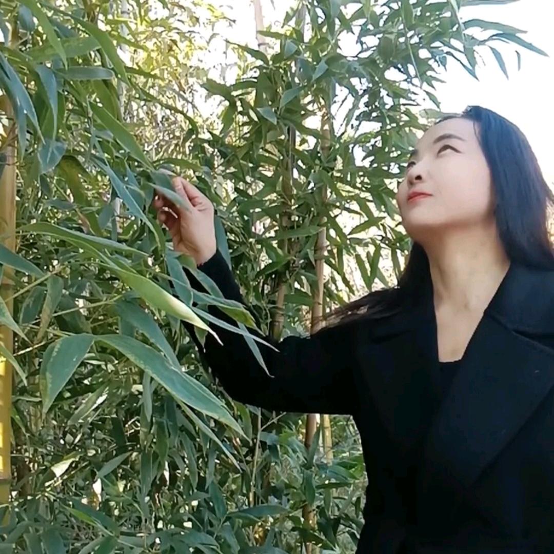 永远