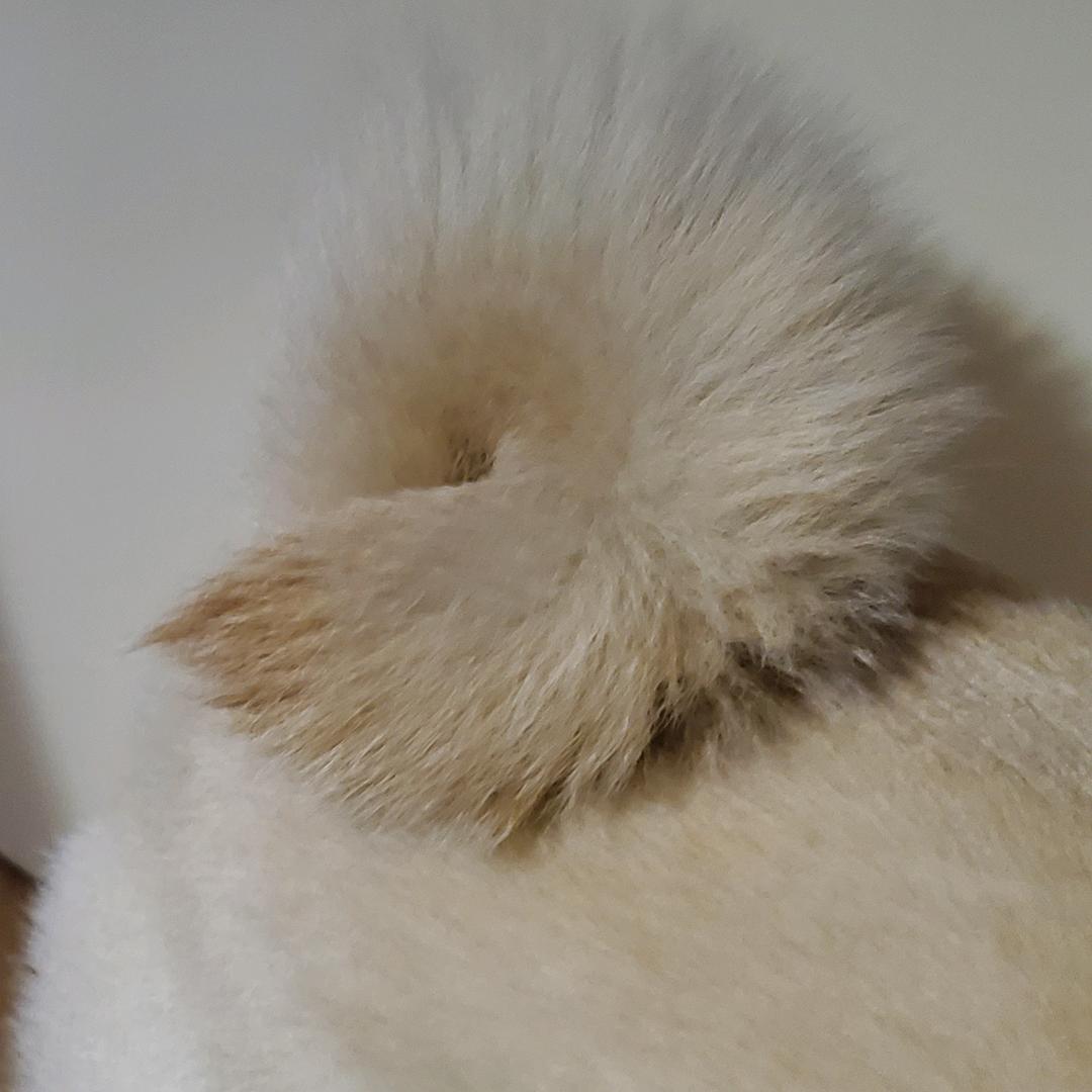 红旗村哥