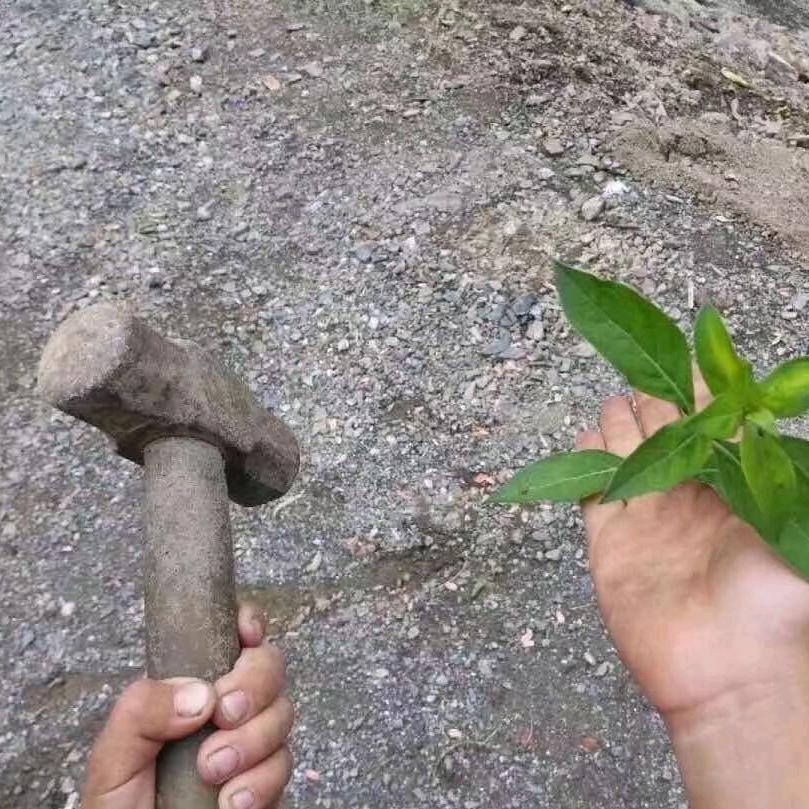 阿这个好