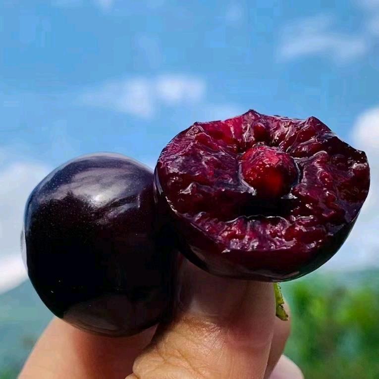 天煜🇨🇳