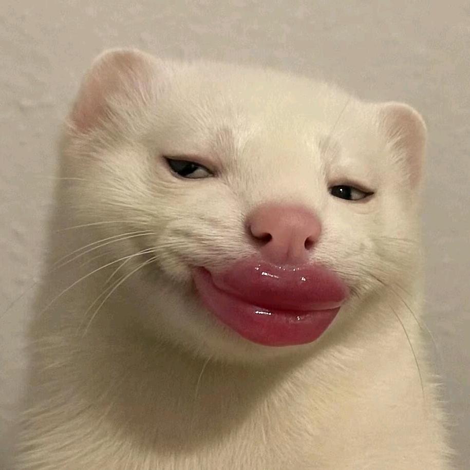 🍋^