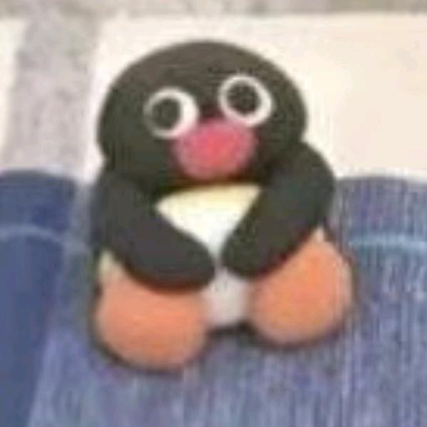 企鹅🐧