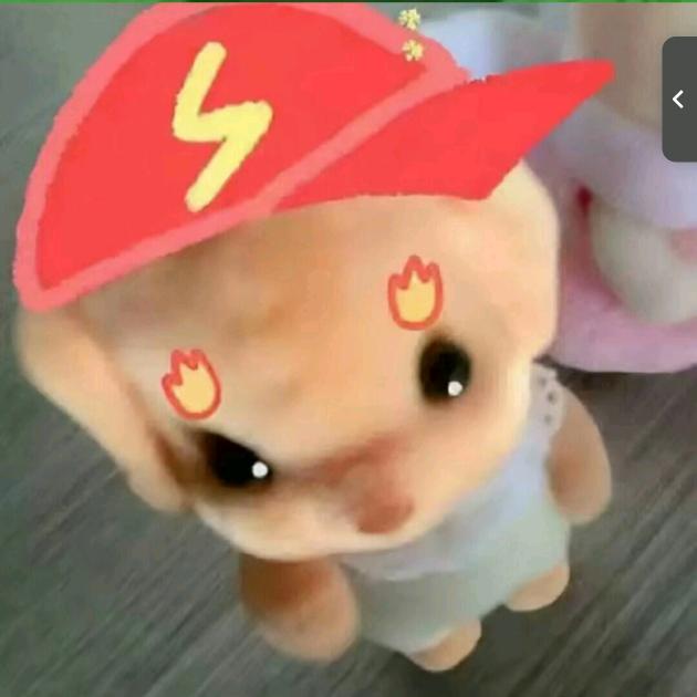 包~