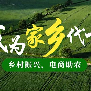 “绿点”助农电商实践团