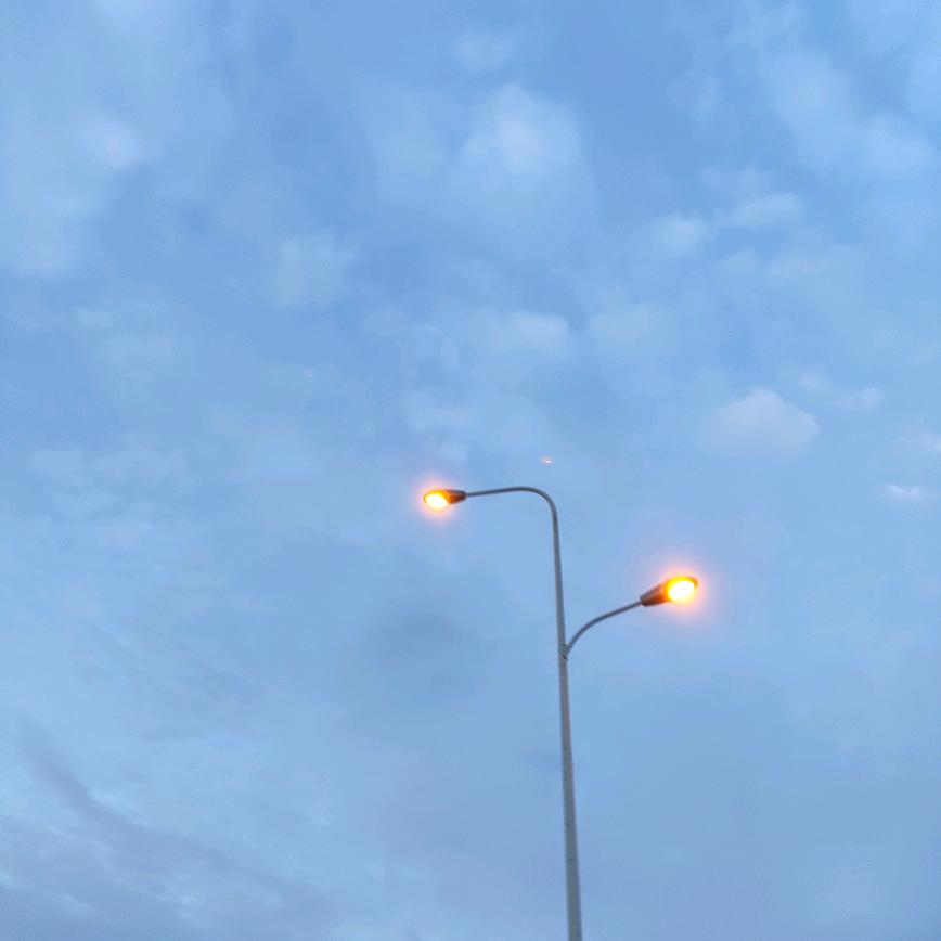 糕糕