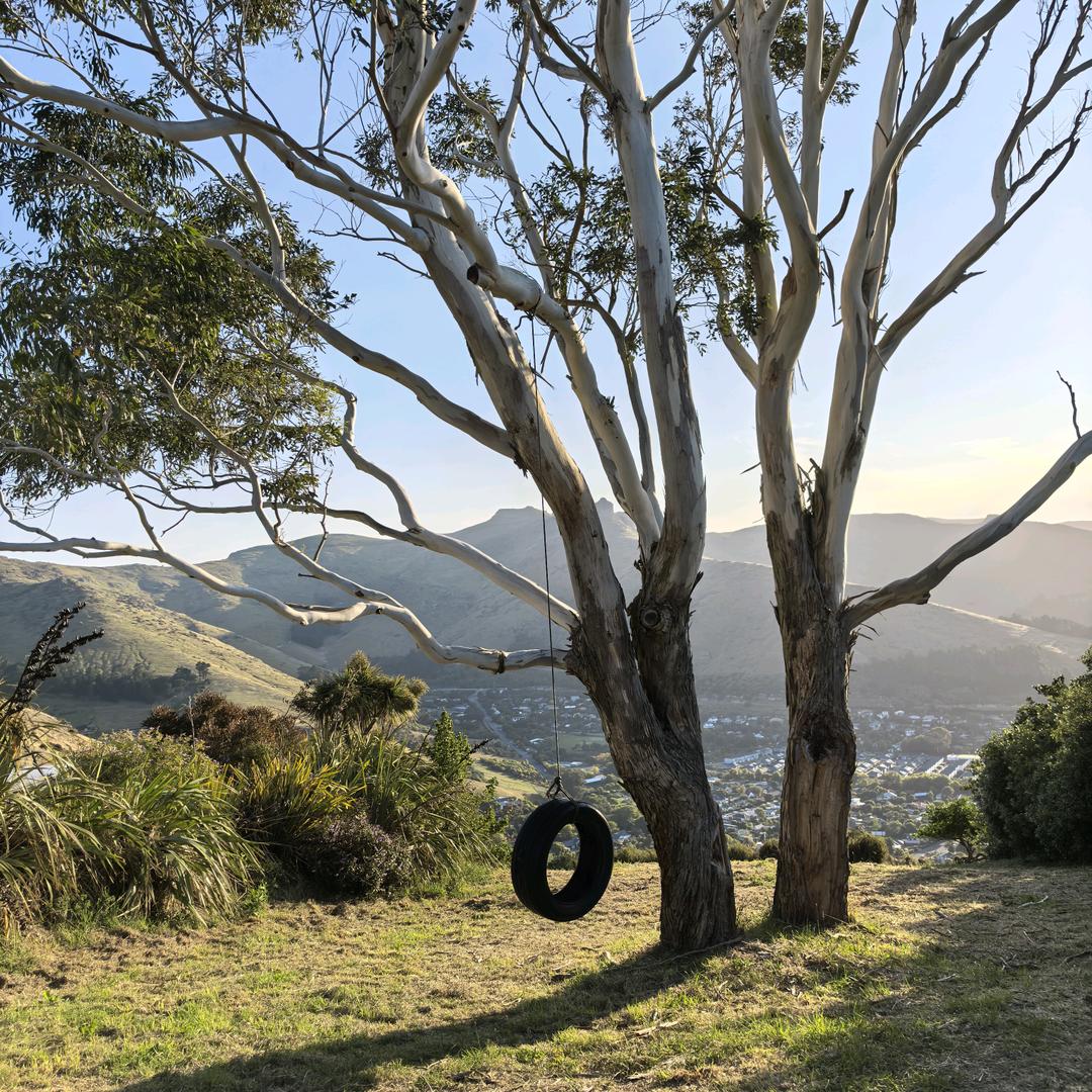 未曾谋面的高层