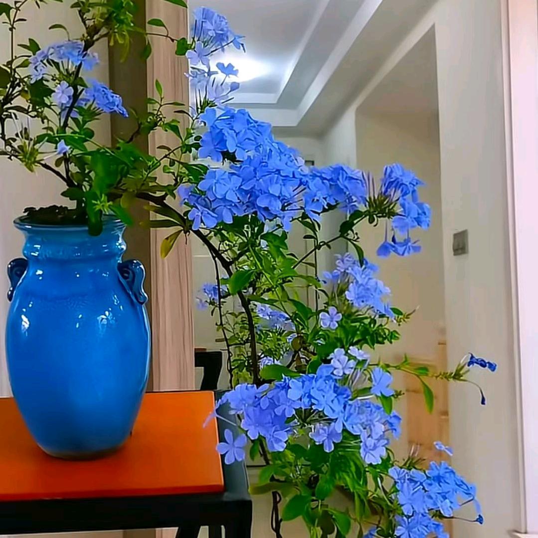 瑶心阁美容养生