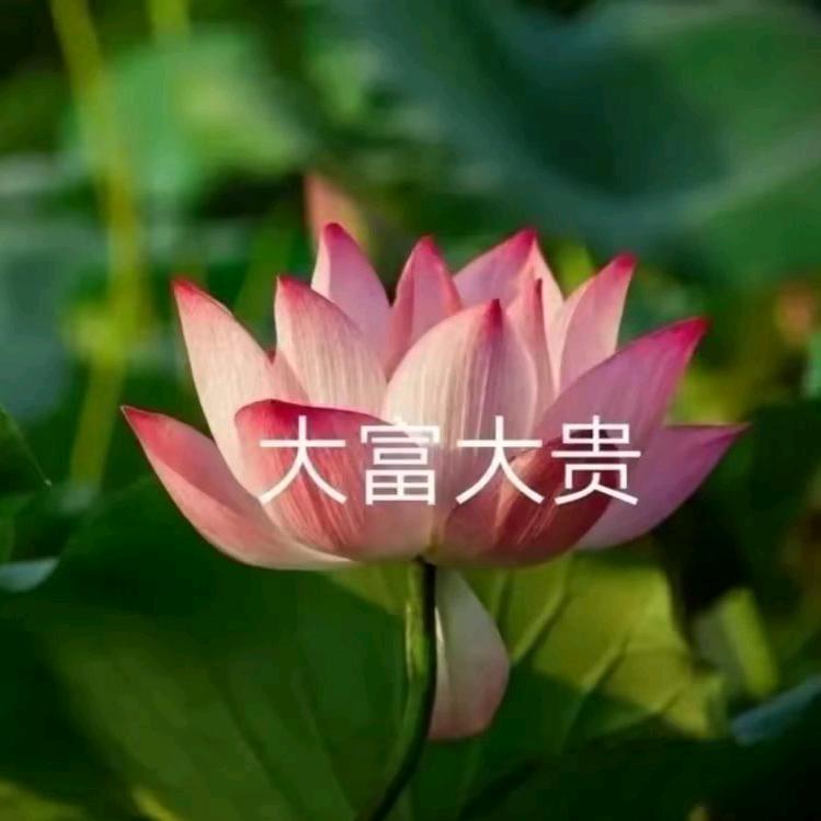 .花开富贵
