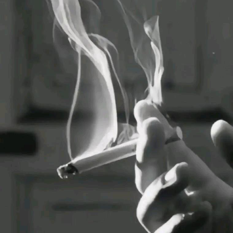 不期而遇✨✨✨