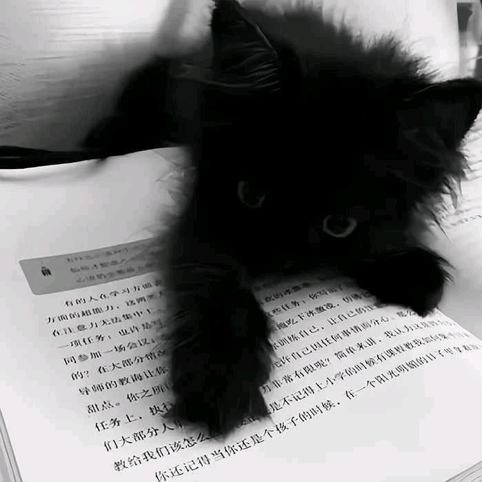 瑞瑞瑞瑞*