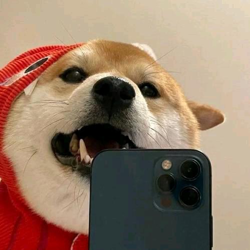 晓良宇轩