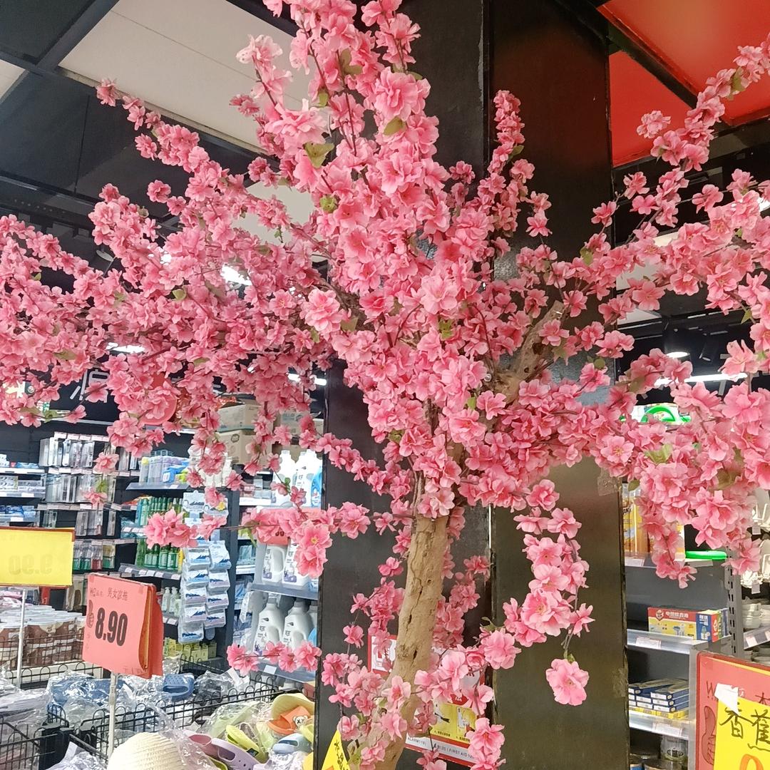 🍏🍏🍏劉🍏🍏🍏