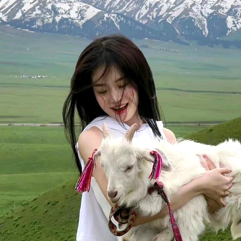 小🐏不吃草