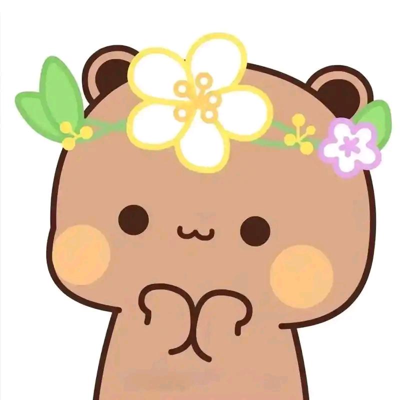 等一二的布布