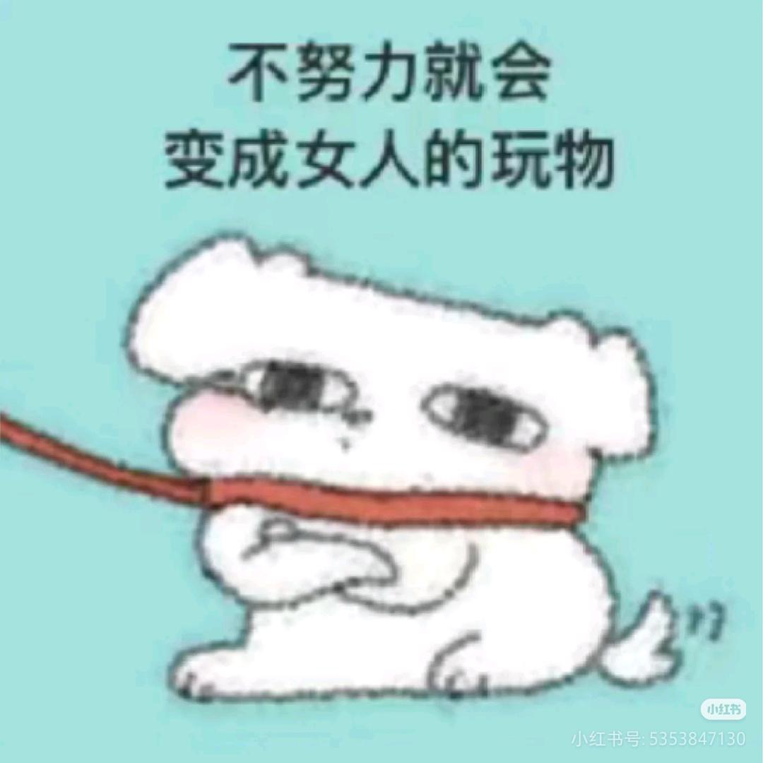 Jdjjejbdj
