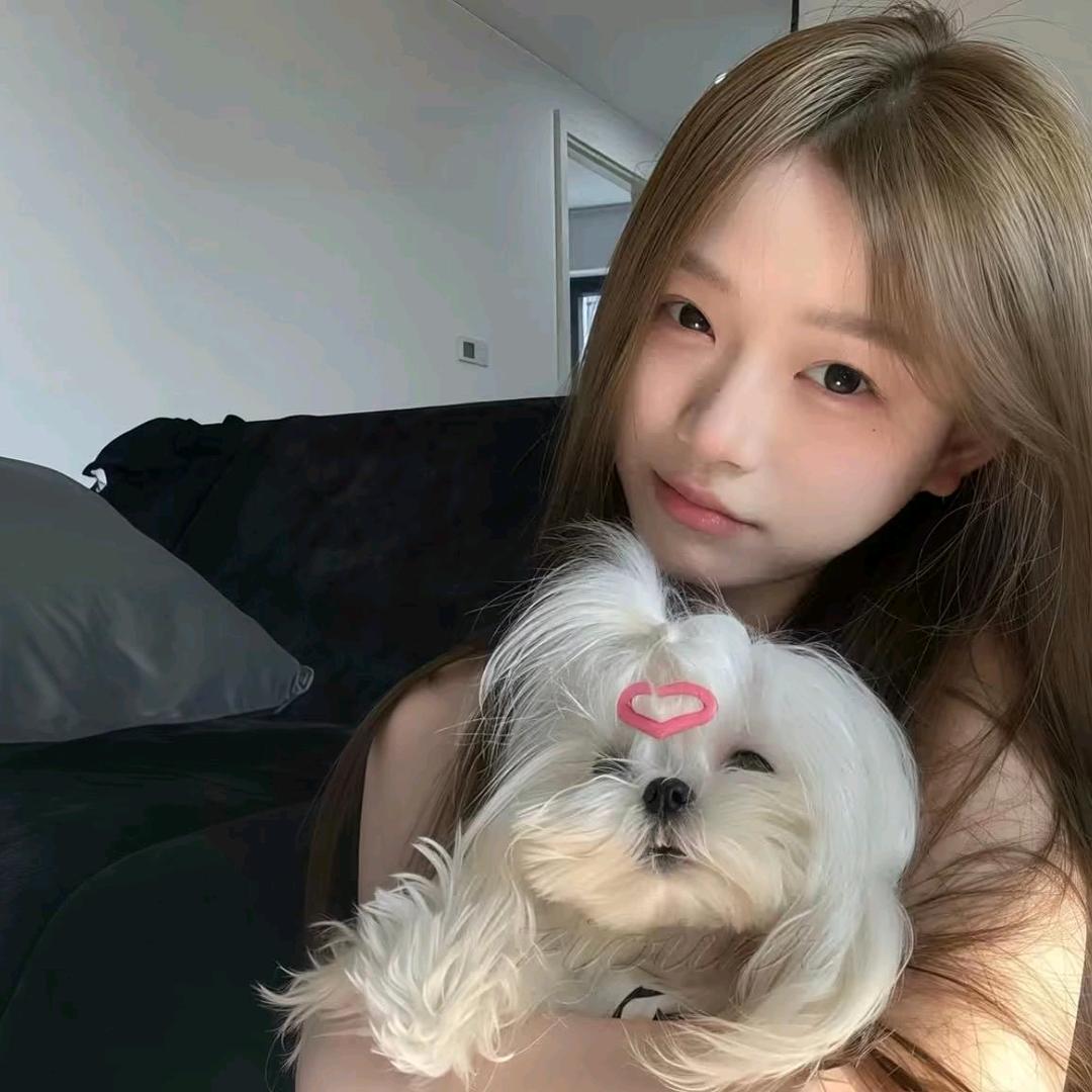 拾忆