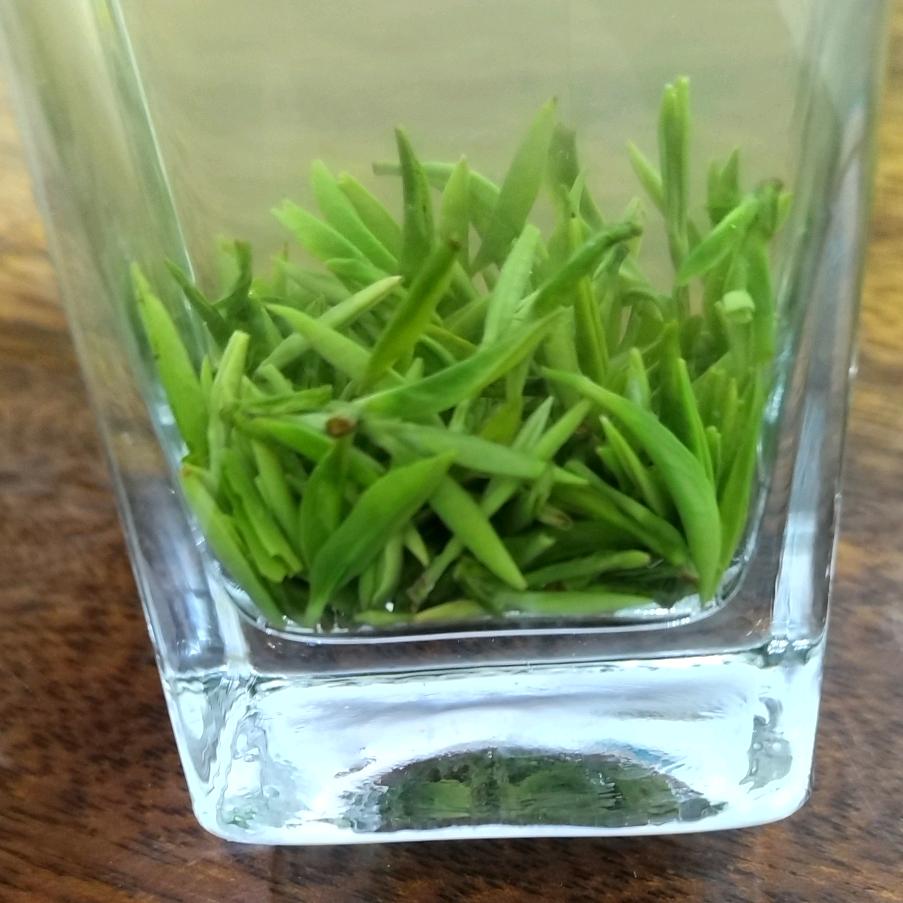 茶憨憨