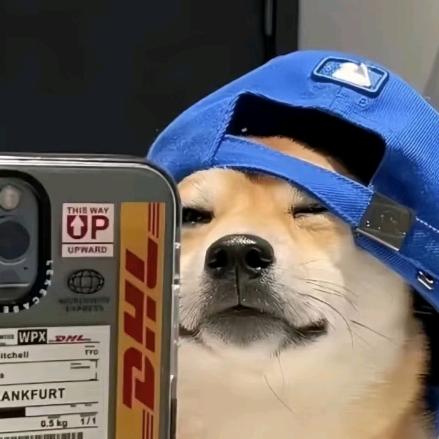 -29℃