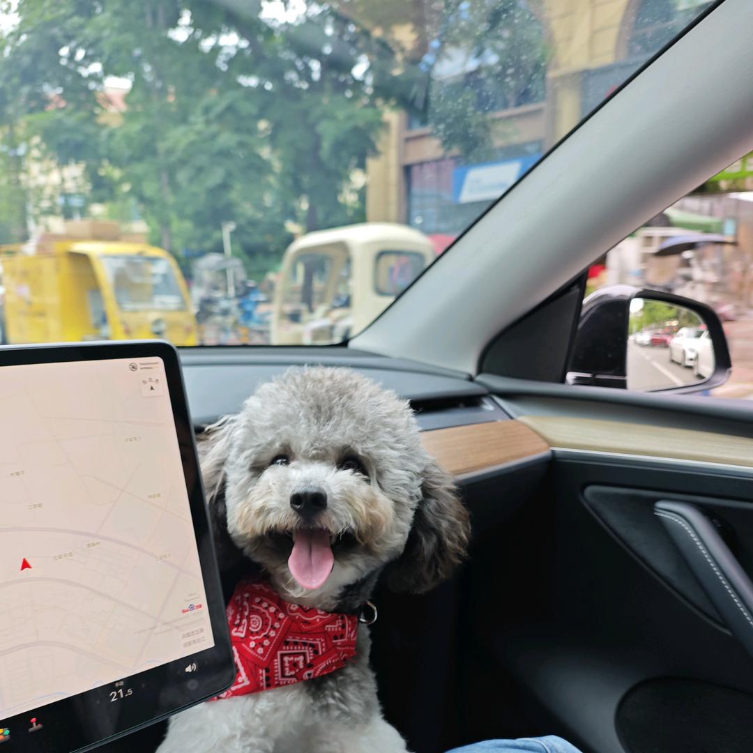 成都环氧地坪漆