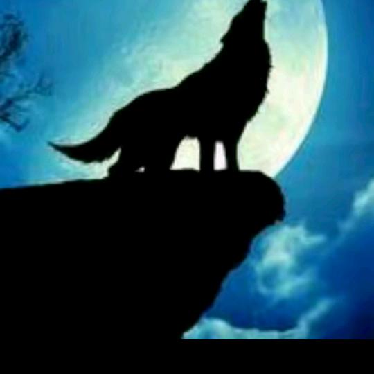 海陆空战队[独狼]