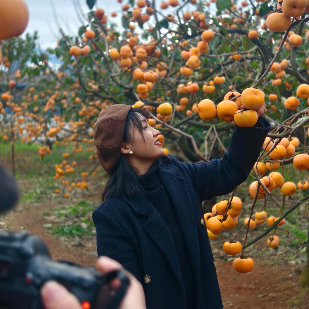 燕姐乐购小时达