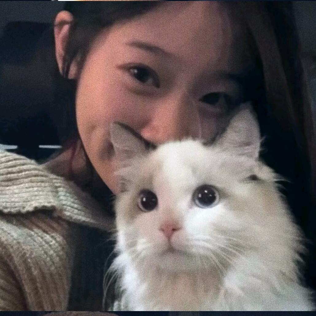 ⚜️ 斯塔巴吉⚜️