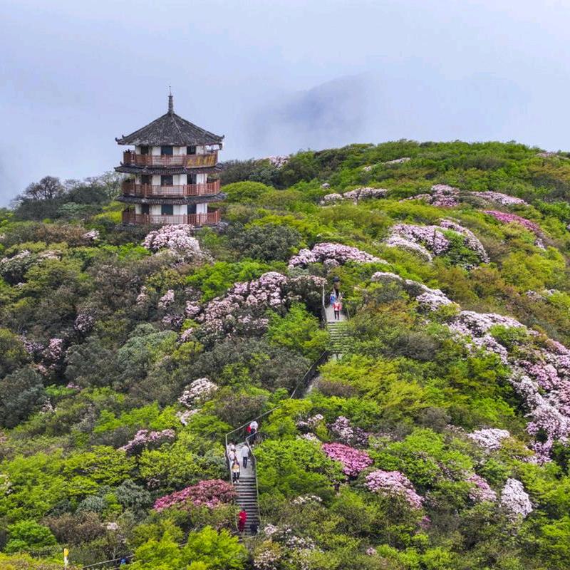 易众达生活坊
