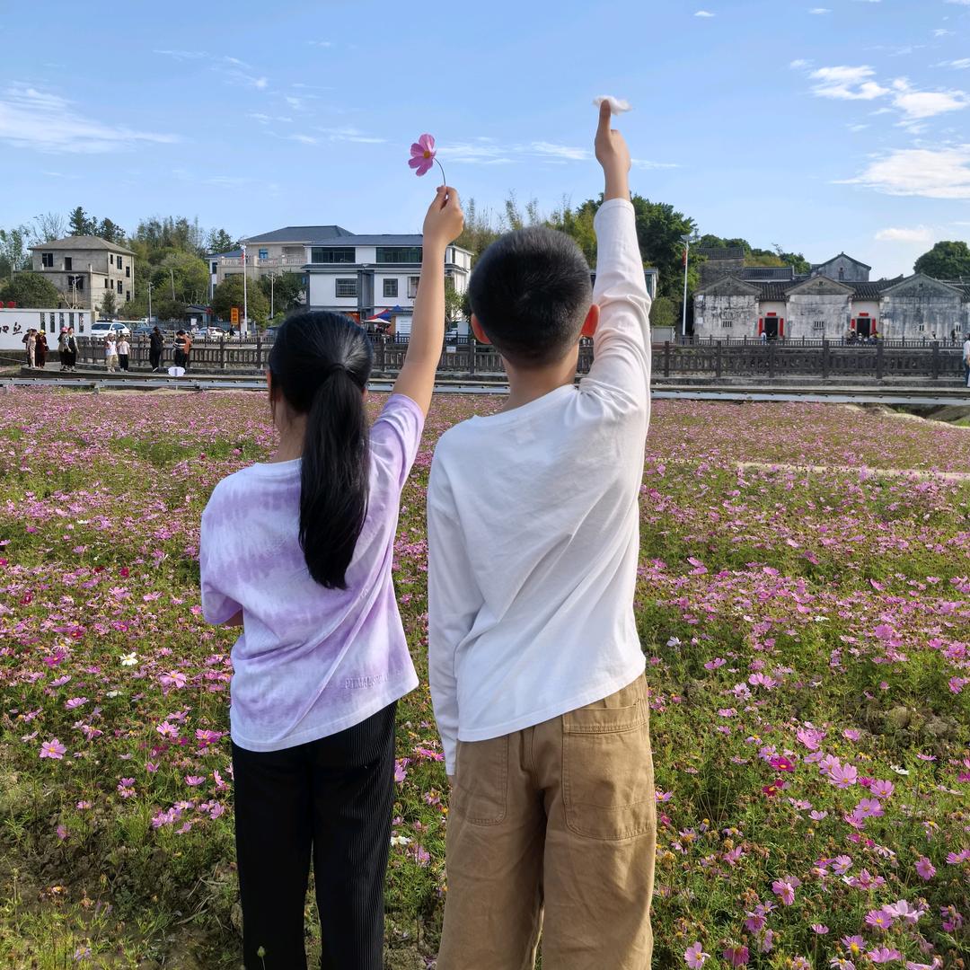 龙凤宝宝