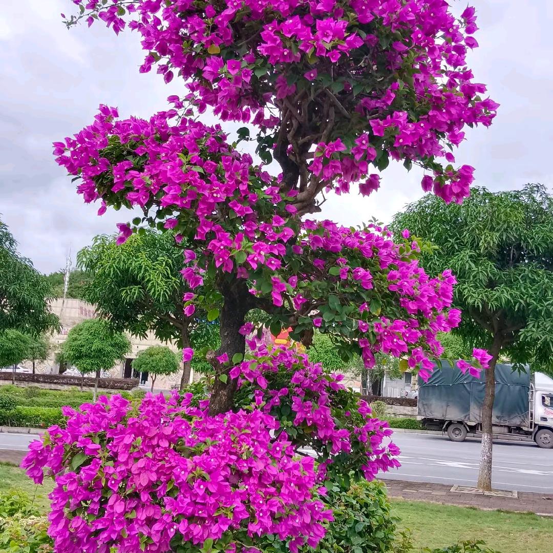 🍀🌹好好爱自己🌴🌹🎄