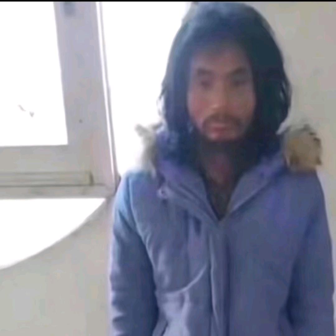 喵喵喵。（我掉了不知多少个粉）