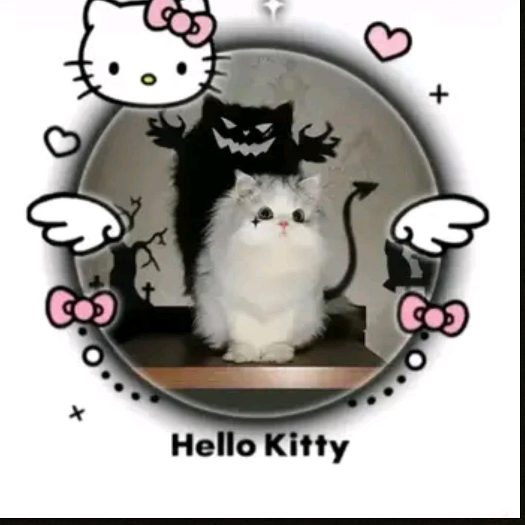 🇨🇳✨💖💖😘