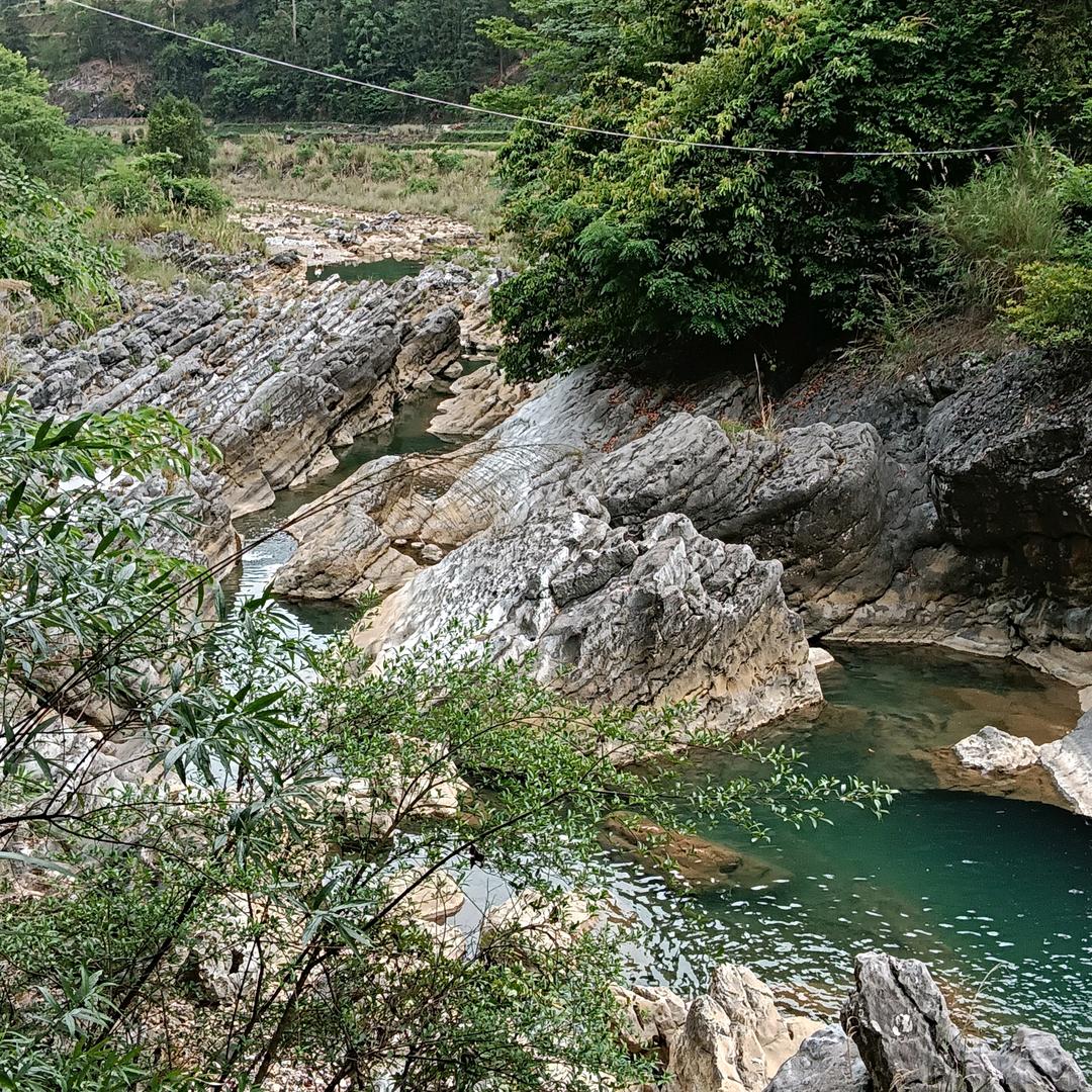 手心有你