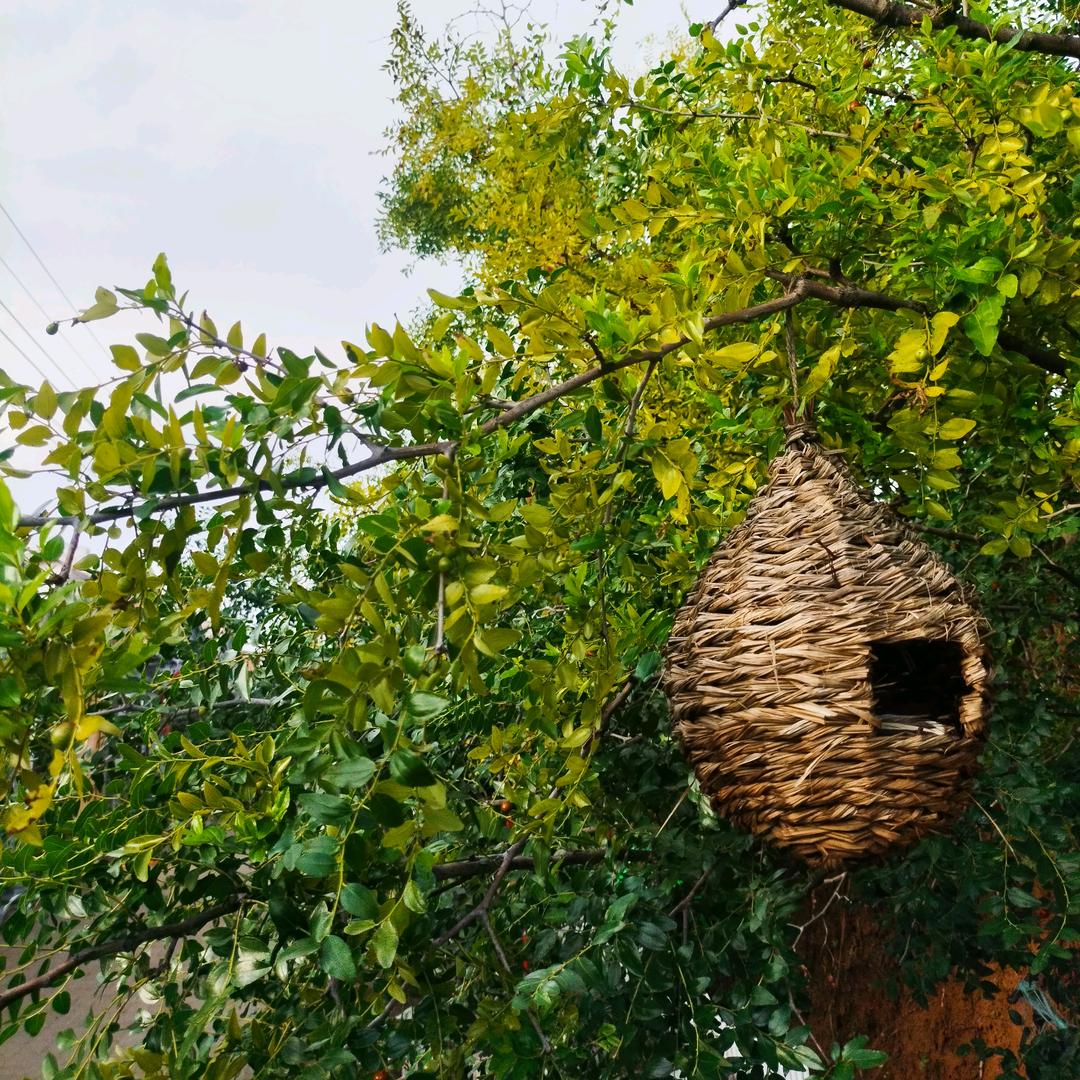 没关系的，张女士