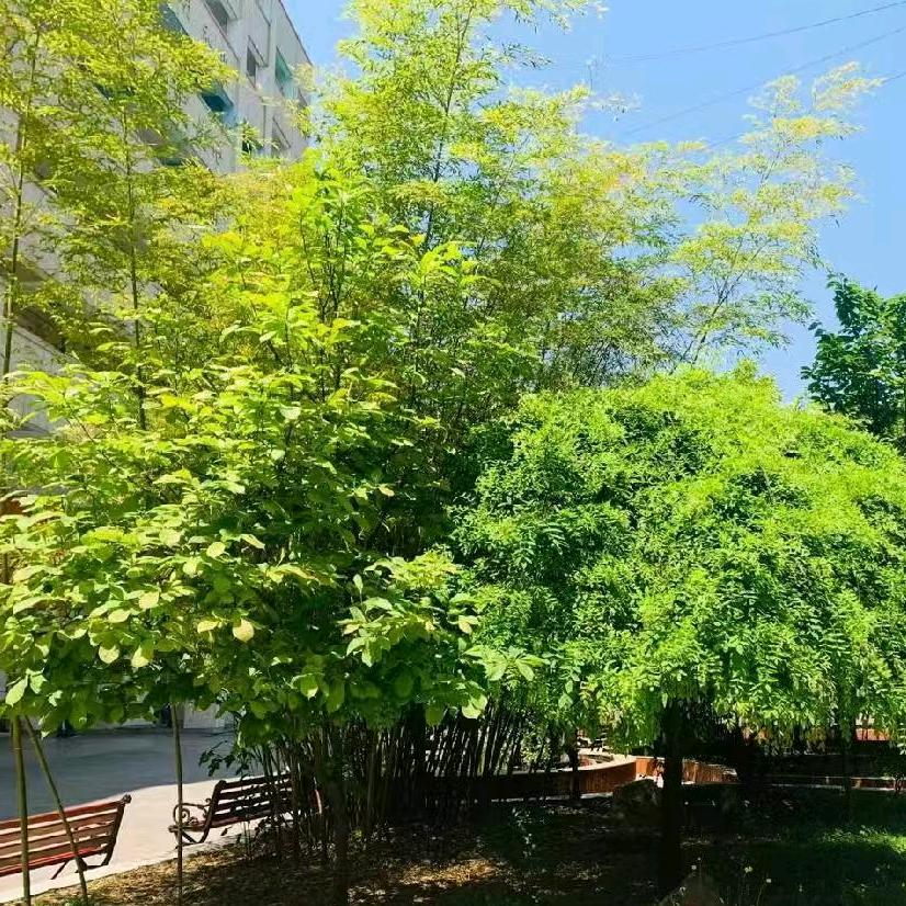 顺其自然无为而无不为废物待利用刘科汉