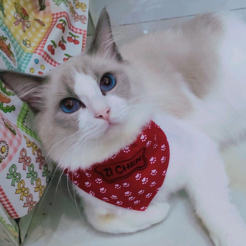 张小闷ᦦ້ᮨ꯭ 特别的人ᥫᩣ𓍯