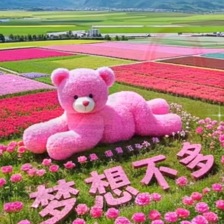莫🌾失💐莫🌴忘