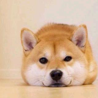 加钱