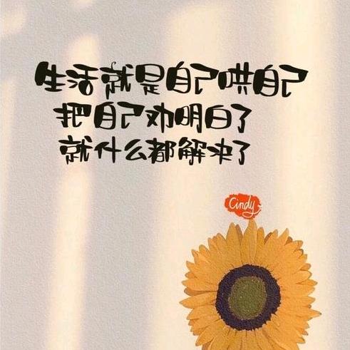 两个恩宝