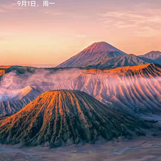 肖二姐