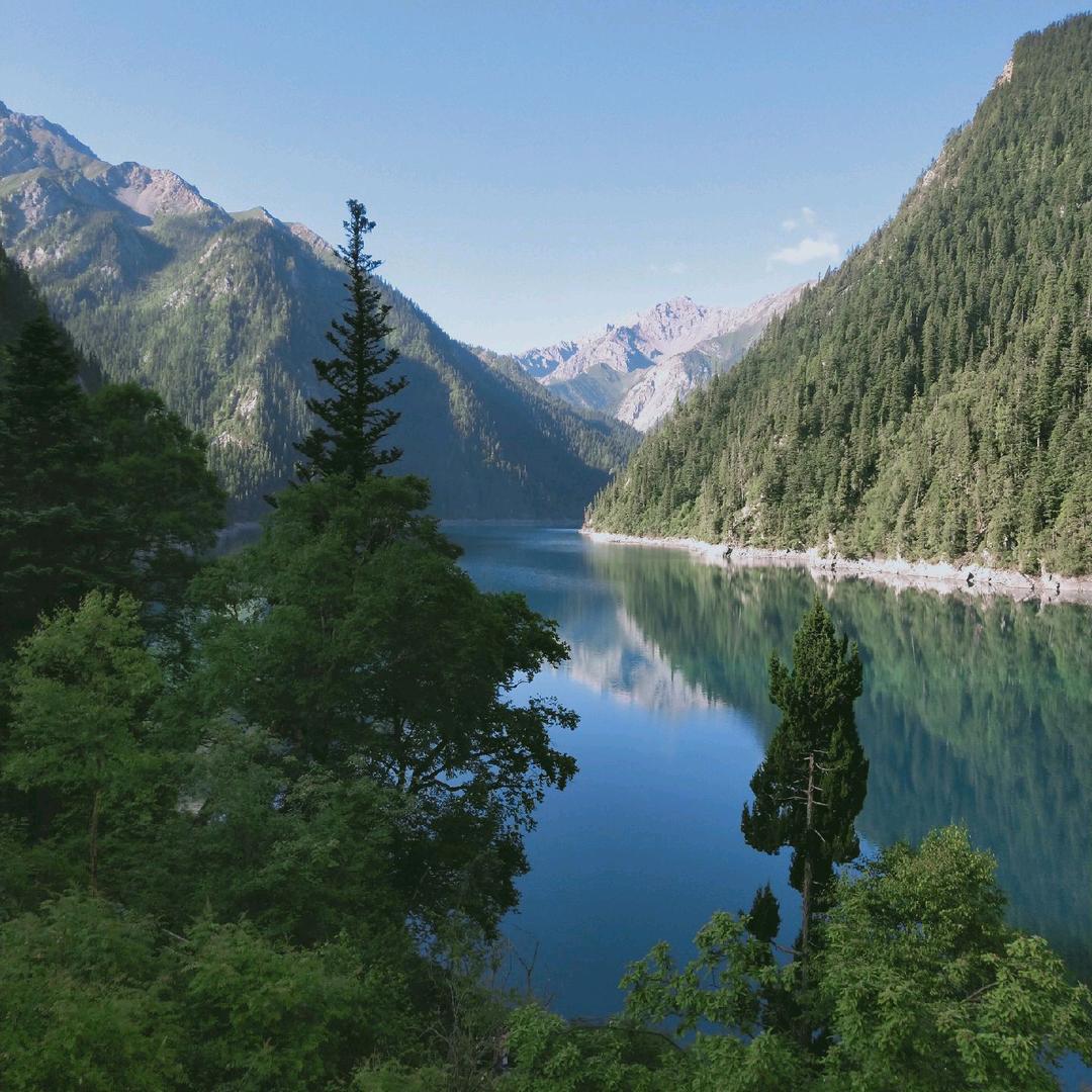 人生百味,随意就好